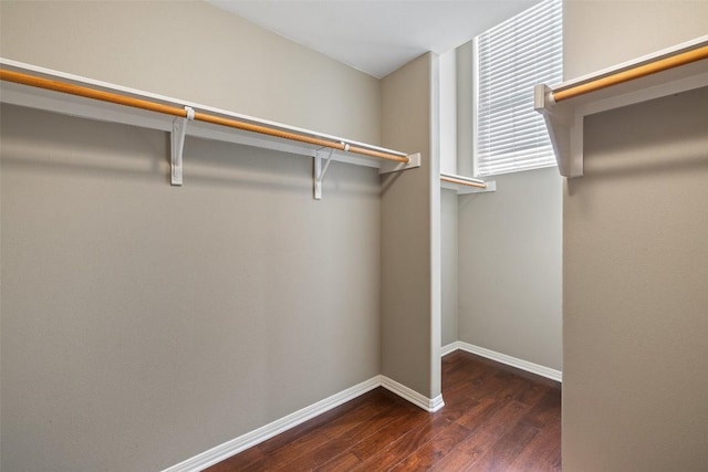 6220 Seville Dr, Austin, TX 78724 - spacious closet featuring wood finished floors