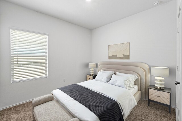 3313 Lodgepole Dr, Austin, TX 78744 - bedroom with carpet