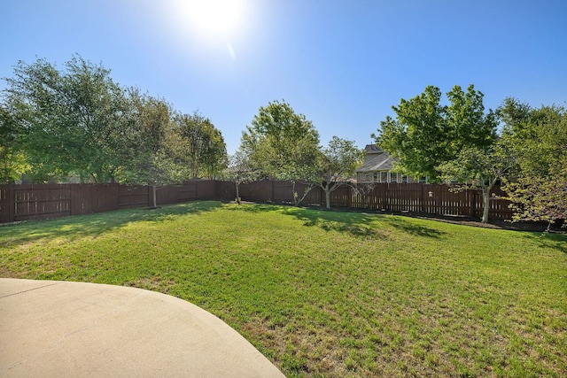 1812 Buffalo Thunder, Leander, TX 78641 - view of yard