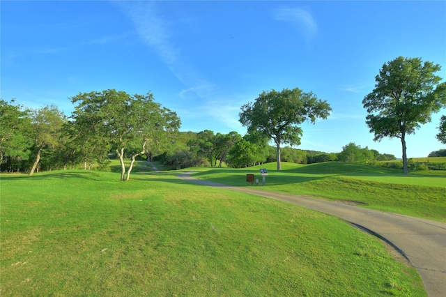 1812 Buffalo Thunder, Leander, TX 78641 - view of community with a lawn, view of golf course, and view of wooded area