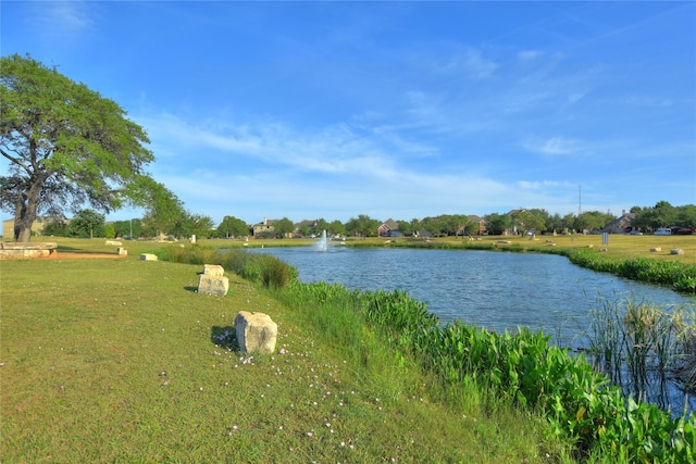1812 Buffalo Thunder, Leander, TX 78641 - water view