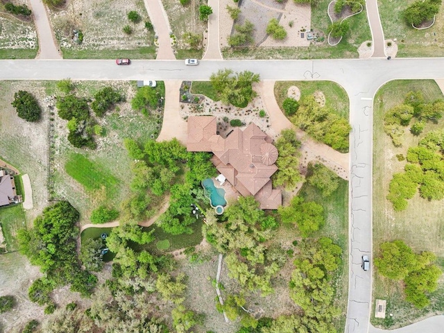 bird's eye view