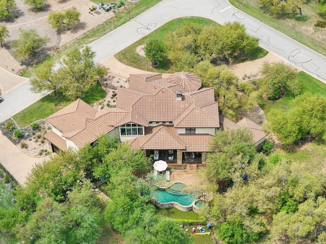 bird's eye view