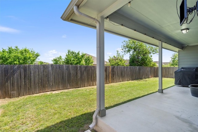 319 Silver Glen Dr, Kyle, TX 78640 - fenced backyard featuring a patio area