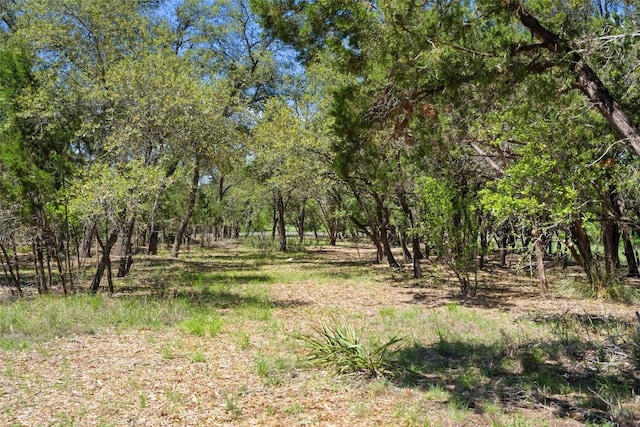 1005 Lisa Dr, Austin, TX 78733 - view of local wilderness