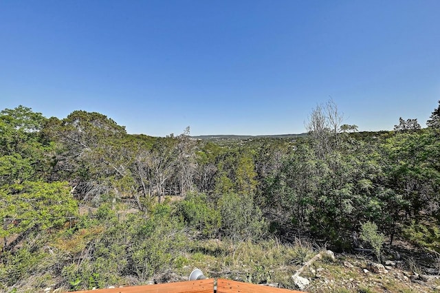 view of local wilderness featuring a view of trees