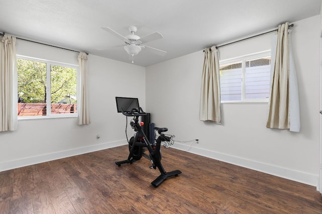 8604 Primrose Ln, Austin, TX 78757 - exercise room with ceiling fan and dark wood-style flooring