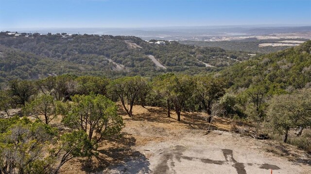 21305 White Cloud Cv, Lago Vista, TX 78645