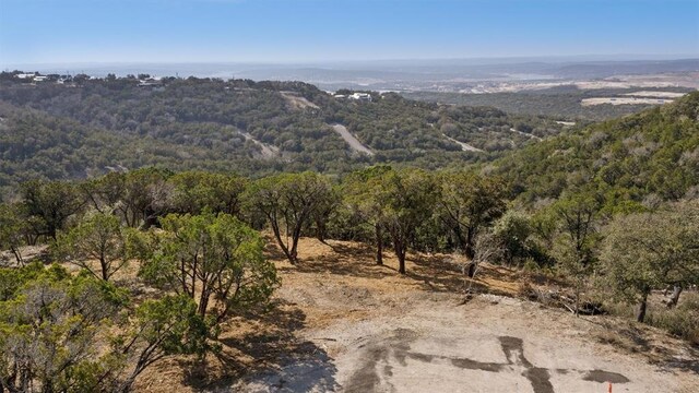 21305 White Cloud Cv, Lago Vista, TX 78645