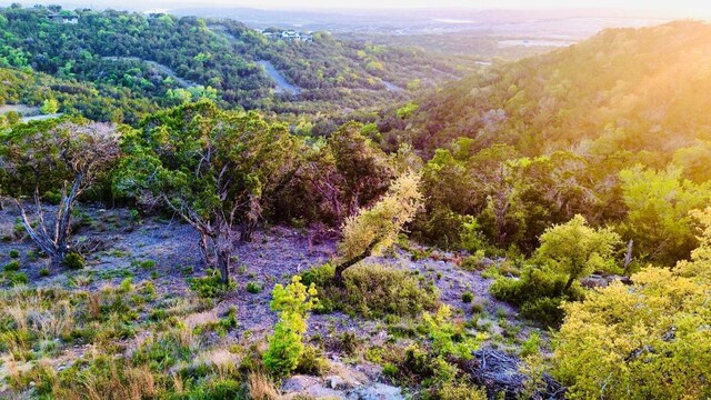 21305 White Cloud Cv, Lago Vista, TX 78645