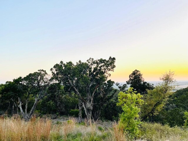 21305 White Cloud Cv, Lago Vista, TX 78645