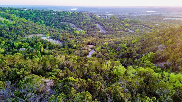 21305 White Cloud Cv, Lago Vista, TX 78645