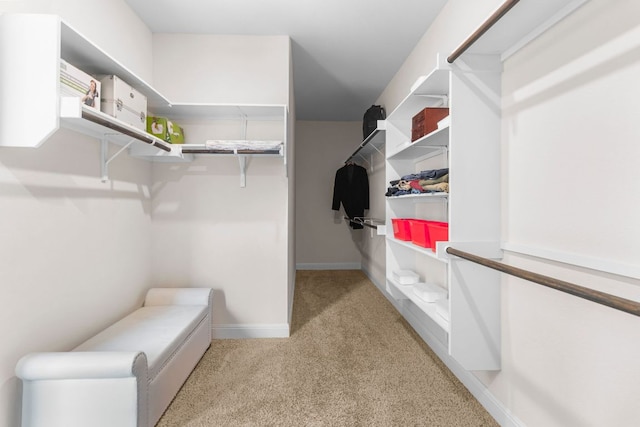 2348 Centennial Loop, Round Rock, TX 78665 - spacious closet with light carpet