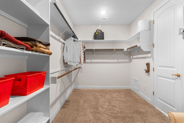 2348 Centennial Loop, Round Rock, TX 78665 - walk in closet featuring carpet flooring