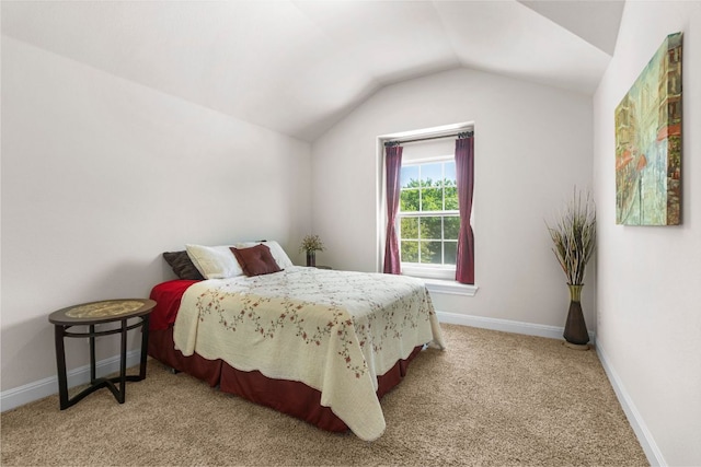 2348 Centennial Loop, Round Rock, TX 78665 - carpeted bedroom featuring lofted ceiling and baseboards