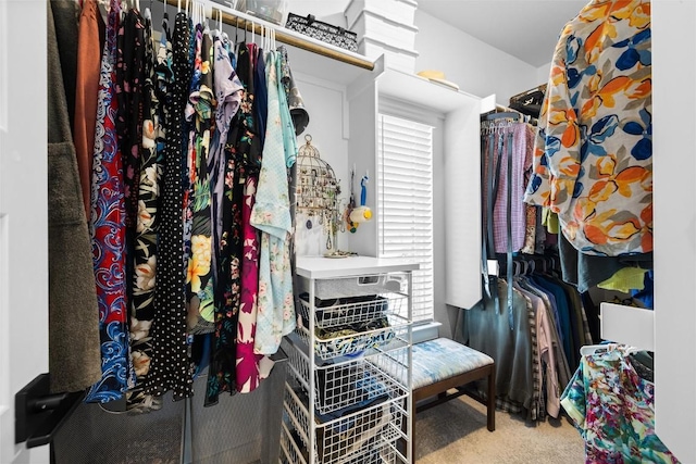 200 W 56th St Unit 4102, Austin, TX 78751 - spacious closet with carpet floors
