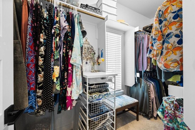 200 W 56th St Unit 4102, Austin, TX 78751 - spacious closet featuring carpet flooring