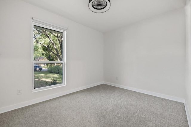 6107 Amber Pass, Austin, TX 78745 - photo 19