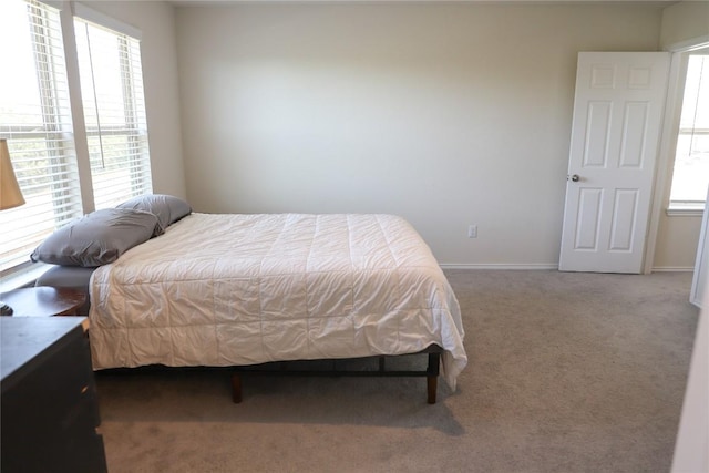 70 Snowy Plover Ln, Leander, TX 78641 - bedroom with multiple windows, carpet floors, and baseboards