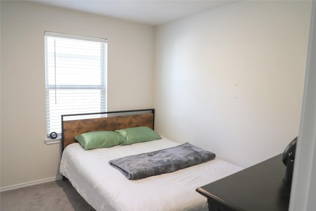 70 Snowy Plover Ln, Leander, TX 78641 - carpeted bedroom with baseboards