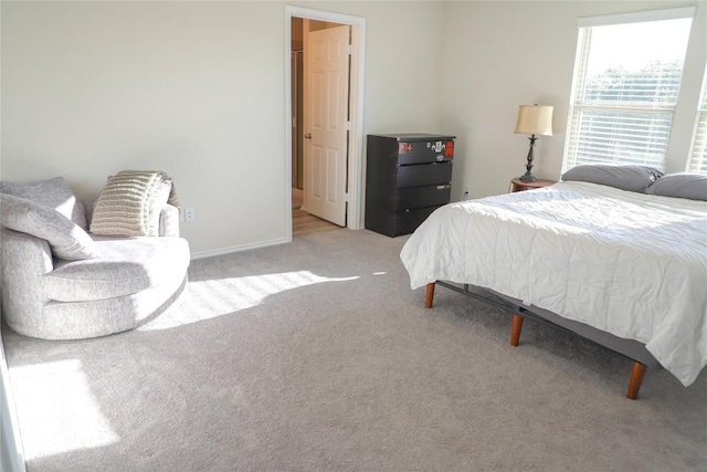70 Snowy Plover Ln, Leander, TX 78641 - bedroom featuring light carpet