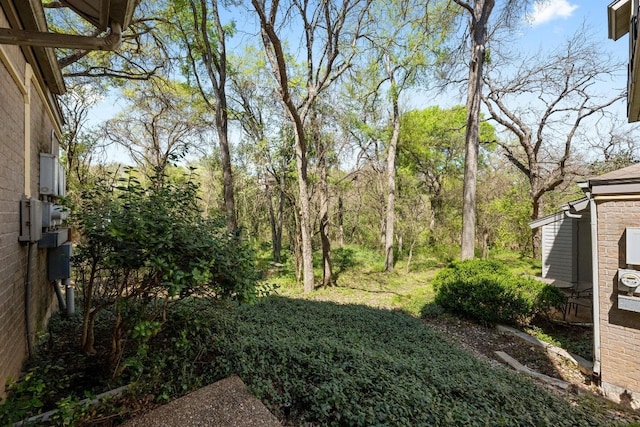 802 S First St Unit 126, Austin, TX 78704 - photo 21