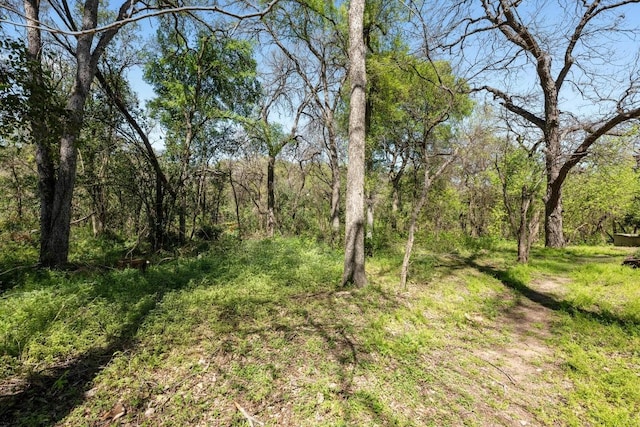 802 S First St Unit 126, Austin, TX 78704 - photo 6