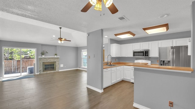 812 Saunders Dr, Round Rock, TX 78664 - kitchen with stainless steel appliances, a ceiling fan, a textured ceiling, wood finished floors, and plenty of natural light