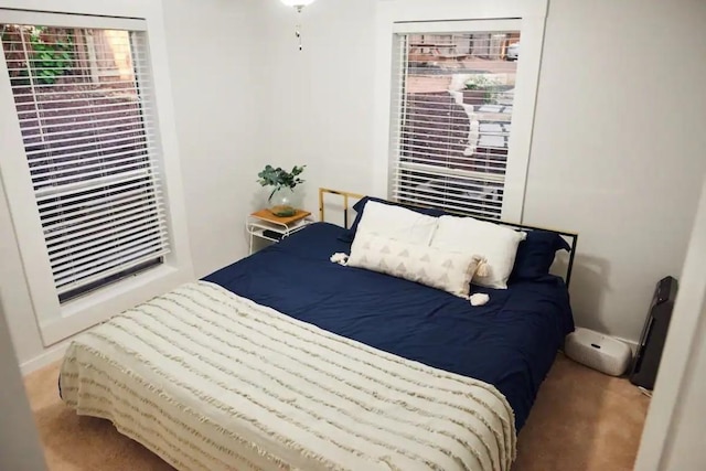 403 W Mary St, Austin, TX 78704 - view of carpeted bedroom