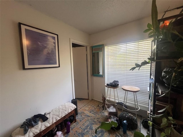 5202 Beechmoor Dr, Austin, TX 78723 - interior space featuring a textured ceiling