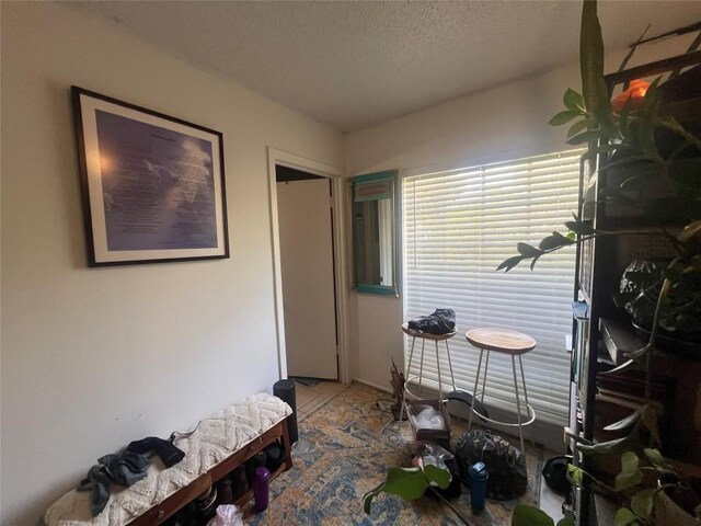 5202 Beechmoor Dr, Austin, TX 78723 - interior space with a textured ceiling