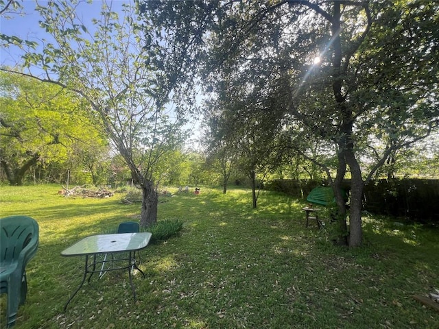 5202 Beechmoor Dr, Austin, TX 78723 - view of yard