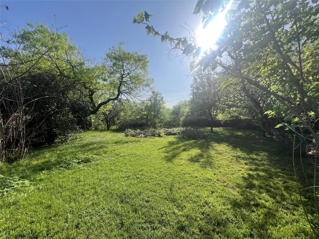 5202 Beechmoor Dr, Austin, TX 78723 - view of yard