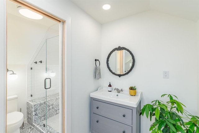 290 County Road 207, Liberty Hill, TX 78642 - full bathroom featuring toilet, a stall shower, vaulted ceiling, and vanity