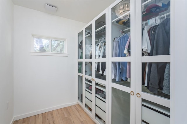 290 County Road 207, Liberty Hill, TX 78642 - walk in closet with light wood finished floors