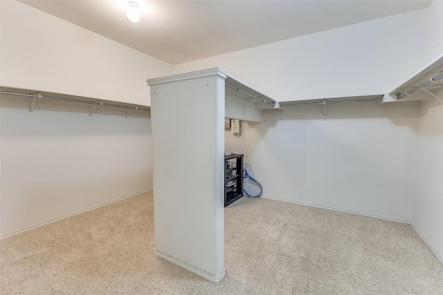 walk in closet with carpet flooring