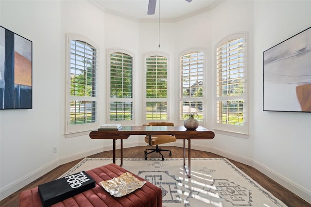office area featuring ceiling fan, wood finished floors, and a healthy amount of sunlight