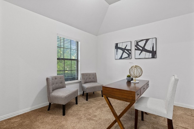 2632 Los Alamos Pass, Round Rock, TX 78665 - office space with light colored carpet, lofted ceiling, and baseboards
