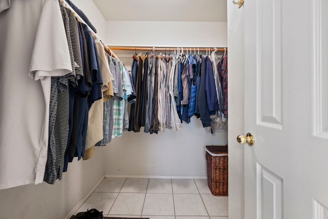 view of spacious closet