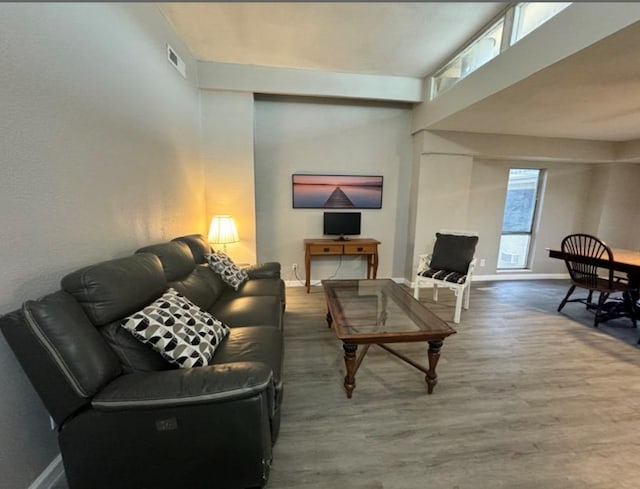 5918 Lago Vista Way Unit D32, Leander, TX 78645 - living room featuring baseboards and wood finished floors