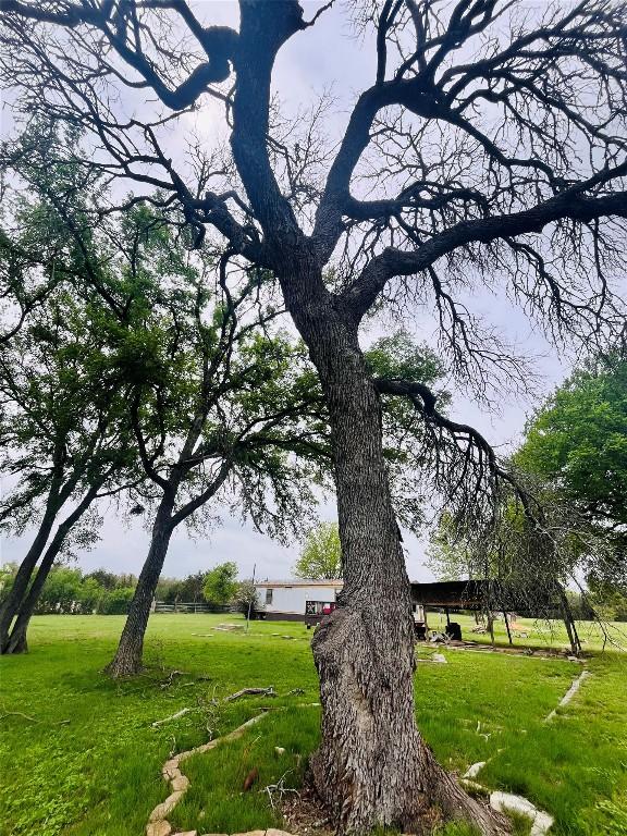 309 Remuda Rd, Liberty Hill, TX 78642 - photo 3
