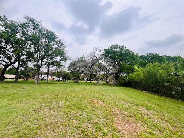 309 Remuda Rd, Liberty Hill, TX 78642 - photo 5