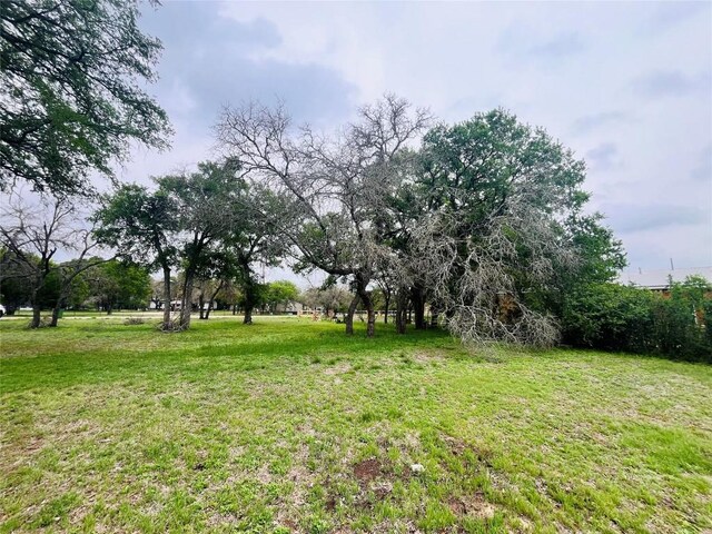 309 Remuda Rd, Liberty Hill, TX 78642 - photo 6