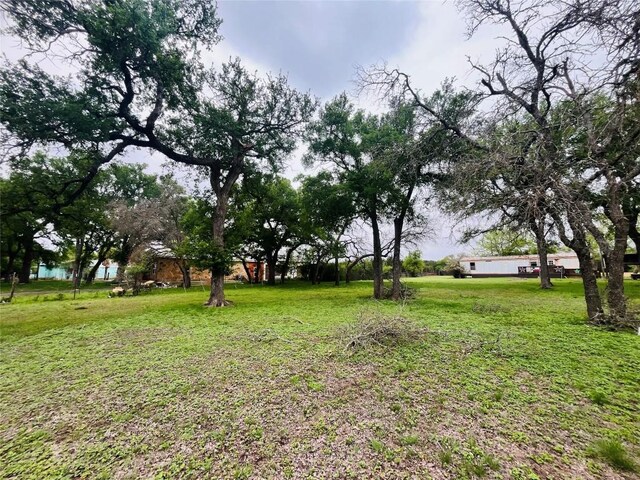 309 Remuda Rd, Liberty Hill, TX 78642 - photo 11