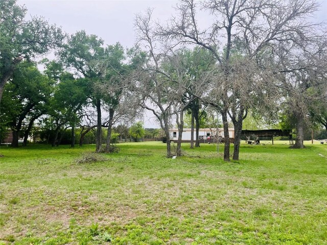 309 Remuda Rd, Liberty Hill, TX 78642 - photo 12