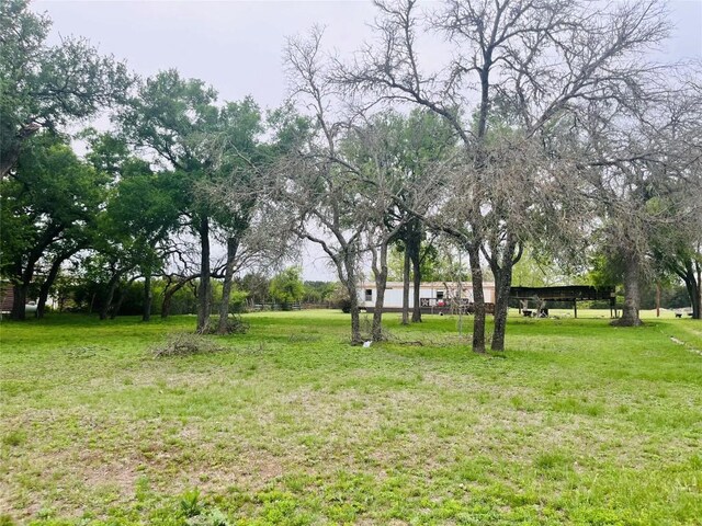 309 Remuda Rd, Liberty Hill, TX 78642 - photo 13