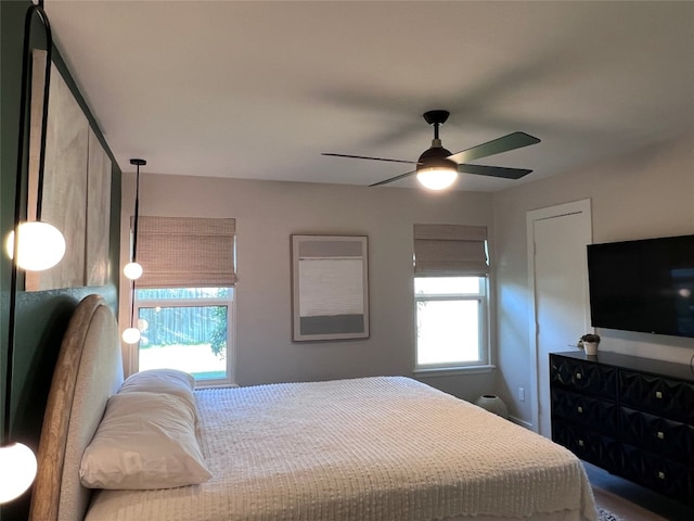 2608 Coatbridge Dr, Austin, TX 78745 - bedroom featuring multiple windows and a ceiling fan