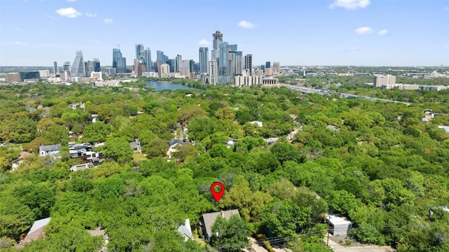 1114 Reagan Ter, Austin, TX 78704 - aerial overview of property's location featuring skyline