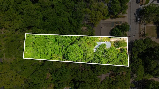 1114 Reagan Ter, Austin, TX 78704 - view of property location featuring a forest and property boundaries highlighted
