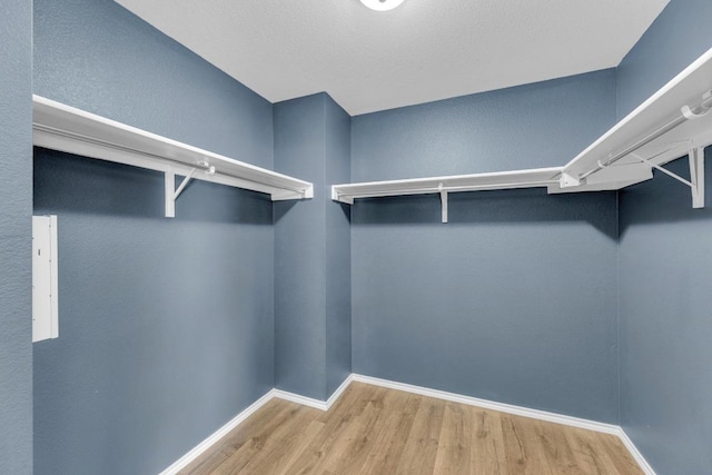 1114 Sussex Pl, Round Rock, TX 78665 - walk in closet featuring wood finished floors